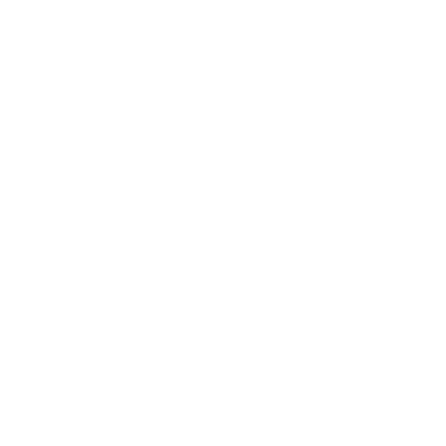 Partner logo 10